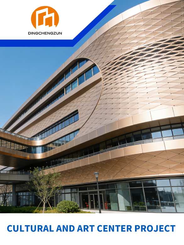 Cultural and Art Center Project