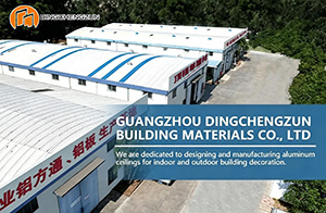 Does Dingchengzun offer perforated and solid aluminum single-skin panels for curtain wall projects, and can they be customized?