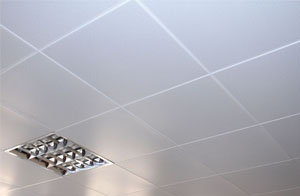Aluminum Ceiling vs Gypsum vs Mineral Fiber: A Lifecycle Cost Comparison
